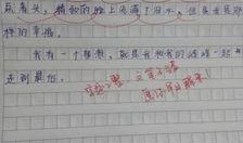 最新小作文爆料,最新小作文爆料背后的惊人真相