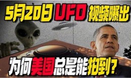 外国爆料视频在线观看,在线观看背后的真相与争议