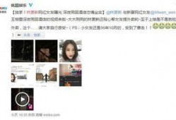 网红爆料娱乐新闻视频大全,热门娱乐新闻视频大盘点