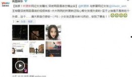网红爆料娱乐新闻视频大全,热门娱乐新闻视频大盘点