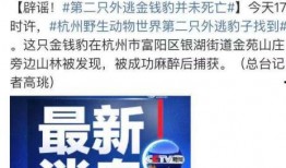 新昌热点爆料事件最新情况,真相揭晓，疑云散去！