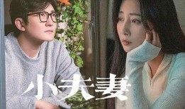 夫妻网红被爆料视频在线观看,揭秘背后真相与争议