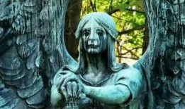 天使死了在线观看,在线揭秘神秘事件的真相