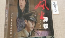 风尘舞蝶全集在线观看,穿越时空的浪漫传奇
