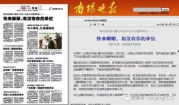 新闻媒体爆料模板怎么写,揭秘XX事件背后惊人真相