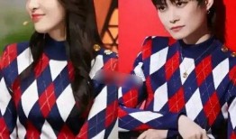 汪小菲老妈爆料视频大全,揭秘豪门背后的真实故事