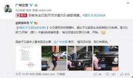 文泽园最新爆料视频,精彩瞬间一网打尽