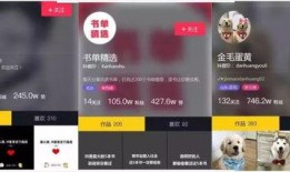 短视频热爆料,揭秘网络红人背后的秘密