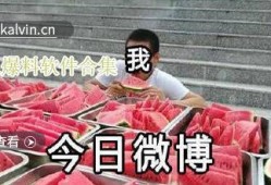 吃瓜爆料视频合集大全最新,吃瓜爆料视频合集，揭秘娱乐圈幕后真相