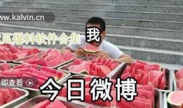 吃瓜爆料视频合集大全最新,吃瓜爆料视频合集，揭秘娱乐圈幕后真相