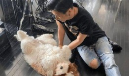 网红暗黑爆料视频大全,视频大全背后的真相与内幕