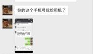 沙河村最新爆料消息,揭秘村庄背后惊人真相