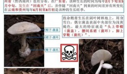 治水最新爆料消息新闻报道,治水工程进展突破，重大进展震撼来袭！
