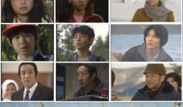 北国之恋 在线观看,探寻东北风情与人情冷暖