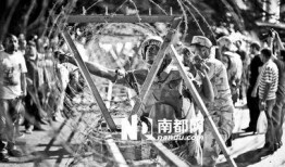 埃及部队爆料视频,揭秘真实战况与幕后真相