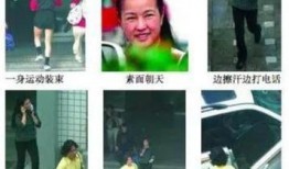 吃瓜乐不停狗仔说娱乐,吃瓜乐不停，娱乐圈幕后大揭秘