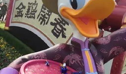 娱乐圈爆料唐老鸭是谁啊,揭秘唐老鸭的真实身份！