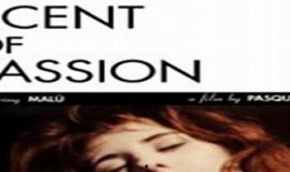 感官世界在线版观看,在线版深度解析，带你领略视觉与听觉的极致盛宴