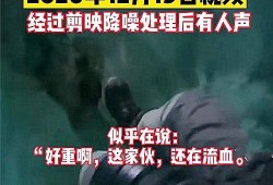 红河爆料后续事件视频,事件真相逐步揭晓