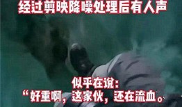 红河爆料后续事件视频,事件真相逐步揭晓