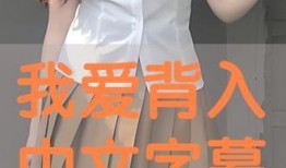 《我爱背入》在线观看,穿越时空的青春记忆