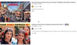 新疆爆料博主事件视频大全,揭秘背后真相与争议