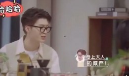 大姐爆料司命视频,司命视频背后的惊人真相