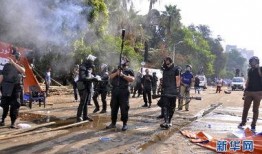 埃及部队爆料视频,揭秘真实战况与幕后真相