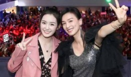 金华东阳母女爆料案件最新,揭开家庭悲剧背后的惊人真相
