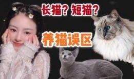 福州布偶爆料事件视频完整版,视频完整版揭秘惊人内幕
