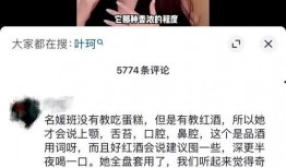 爆料北京名媛视频播放网站,北京名媛视频播放网站背后的秘密