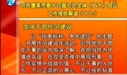 最新蓬莱爆料新闻事件,揭秘神秘事件背后的真相