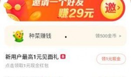 小六爆料赚钱是真的吗视频,揭秘真实收益背后的秘密