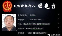 河南爆料主播名单最新视频,揭秘网络直播行业乱象