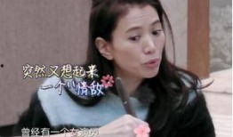 小花爆料袁咏仪视频,真相背后引人深思