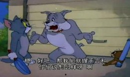 猫和老鼠怎么看爆料视频,揭秘猫和老鼠幕后爆料视频