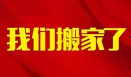 雷州头条大爆料新闻,揭秘当地热点事件背后的真相