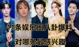 娱乐圈八卦爆料有哪些,揭秘明星背后的故事与真相