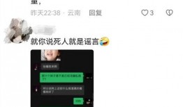 大王爆料视频大全集,揭秘幕后真相，带你领略风云变幻