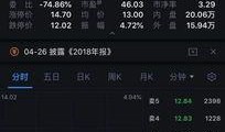 宜华健康最新爆料,揭秘公司转型背后的秘密与挑战