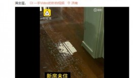爆料房子被淹了视频下载,房屋被淹现场视频曝光