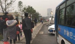 沙坪坝家长爆料新闻,校园安全事件引发关注