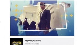 爆料王胖的视频大全集免费观看,免费畅享独家内容盛宴