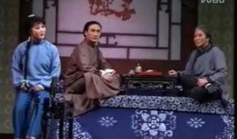 杨三姐告状在线观看,正义与复仇的交织