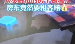 爆料房子被淹了视频下载,房屋被淹现场视频曝光
