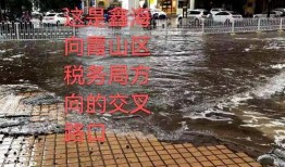最新湛江市民爆料,最新民生问题引发社会关注