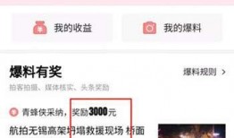 今日头条沈阳爆料,揭秘城市热点事件背后的真相