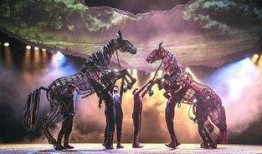 在线观看《战马》,跨越时空的英勇传奇