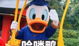 娱乐圈爆料唐老鸭是谁啊,揭秘唐老鸭的真实身份！