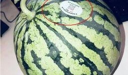 吃瓜马来西亚网红,揭秘网络红人的幕后故事